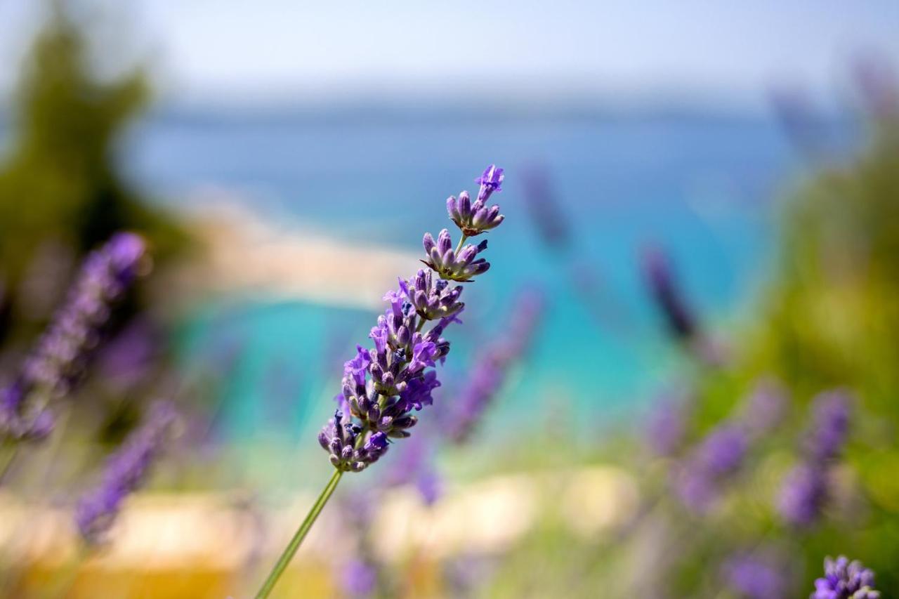 Blue Bay Residence Hvar Town Eksteriør bilde
